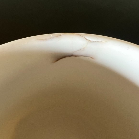 Mark Twain Museum Souvenir Ceramic Mug with Quote ~ Hannibal, Missouri - Picture 6 of 7